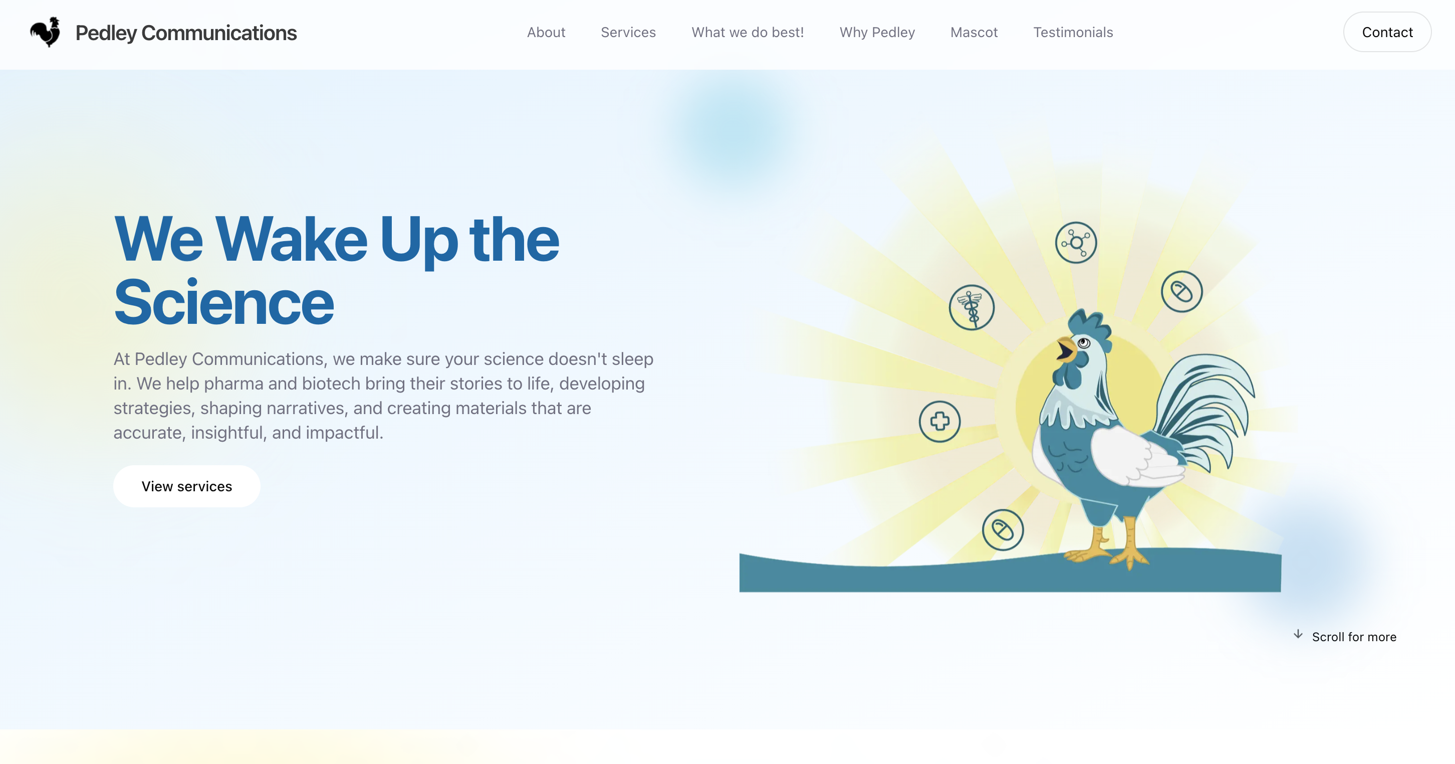 Website Rebuild and UX Overhaul